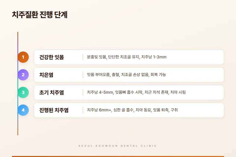 치주질환 초기 증상부터 진행 단계까지 한눈에 보는 인포그래픽