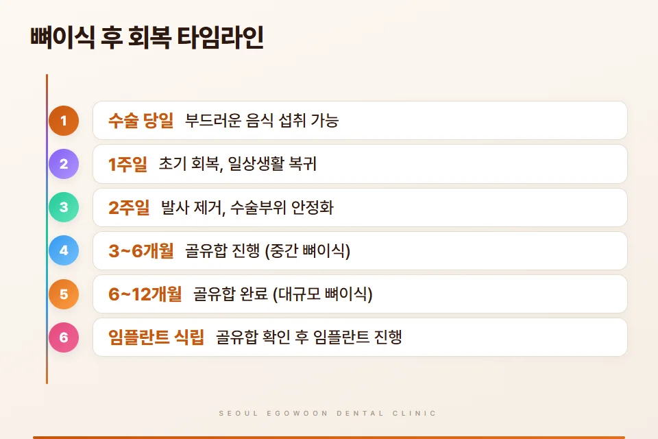 임플란트 뼈이식 회복 기간 타임라인