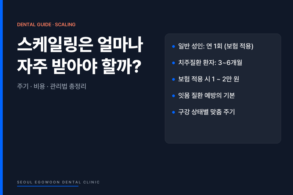 스케일링은 얼마나 자주 받아야 할까 주기 비용 관리법 | 서울이고운치과